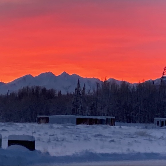 Meet your Posher, Annette - Picture 2 of 13